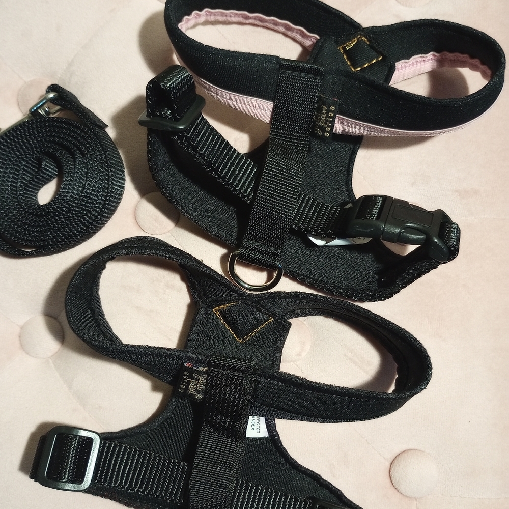 2 Gold Paw Series Harnesses